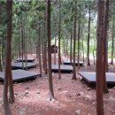 남해편백자연휴양림 이미지