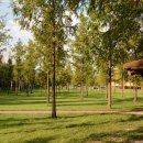 대숲속으로 이미지