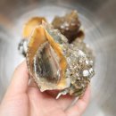 부일수산 이미지