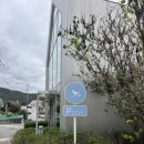 상현로L 네이버블로그