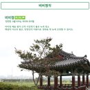 비비정예술열차 이미지
