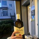 샤크빌리지7 이미지