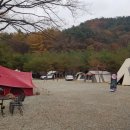 금광농원 이미지