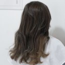 권진희헤어