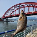 안마을 공중화장실 이미지