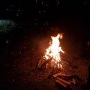 단양전집 이미지