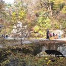 진미가정식백반 이미지