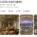 중국 왕홍 언니들 최애 하이엔드 빈티지 카메라 캐논 g12작례 &후기ㅣ대구카페추천ㅣ캐논 g12리뷰ㅣ캐논...