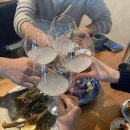 2735 | 압구정 술집 요리야희야｜안주부터 사케까지 만족스러웠던 재방문 후기