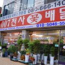 ００７천사꽃배달