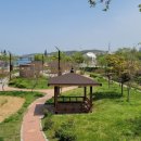 전천시민공원 이미지