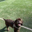 고품격 손바느질 퀼트 | 최근 일상