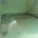 진해대로-1 이미지