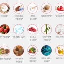 무수과일야채 이미지