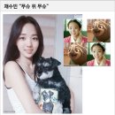 아띠앤펫 이미지