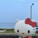 자담하우스 | 제주도4박5일여행코스 짧고 굵게 리뷰🍊🌴