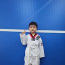 국제키즈태권도 이미지