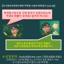 하루일기