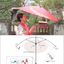 우산속 네이버블로그