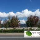 자갈치해수탕 이미지