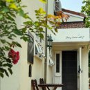 스테이카멜7 이미지