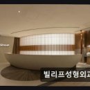 빌리프성형외과의원 이미지