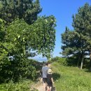 안면민박 이미지