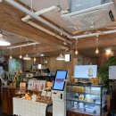 낮엔해처럼밤엔달처럼 | 인천 계산동 카페 / 커피와 식물들이 가득한 힐링 디저트 카페 낮엔 해처럼 밤엔 달처럼