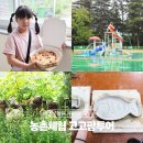 양촌여울체험캠프 | 창원 가볼만한곳 농촌체험 고고팜투어 단비도예 양촌여울체험캠프