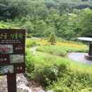 공주산림휴양마을 이미지