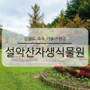 속리산 자생식물원 화장실 | 강원도 속초 가볼만한곳 설악산자생식물원 가족 여행 코스