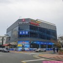 아르보니따 | 부산 명지 영광수산활어센터 회 센터 횟집 방문 솔직 후기