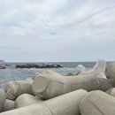 고갠드르법환 이미지