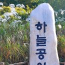 강건너공인중개사사무소 이미지