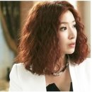퍼피베이비 이미지
