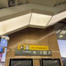 [호주] 시드니여행 5일차 | 서큘러키에서 시드니공항 가는 법,검션커피,록스마켓,퀘스트노스시드니...