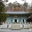 신라방역공사 티스토리