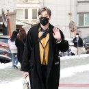 태선 이미지