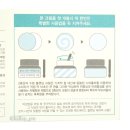 로얄테라피 네이버블로그