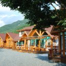 통나무이야기 이미지