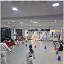 용인대인성태권도 | 용암동인성교육 용인대 아리랑 태권도 도장 체험 후기