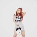 도토리(dotori) 이미지