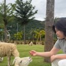 승민목장 이미지