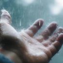 Whispers Through the Rain(비를 통한 속삭임) 이미지