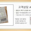 힐링엔젤스 - 성남시 수정구 성남대로 1218 | 힐링엔젤스
