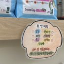 도그드살롱 이미지