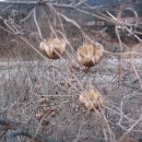 현남초등학교 이미지