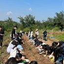 인처골마을 이미지