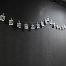 똥강아지 애견 이미지