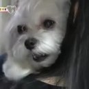 휴거리농장 네이버블로그